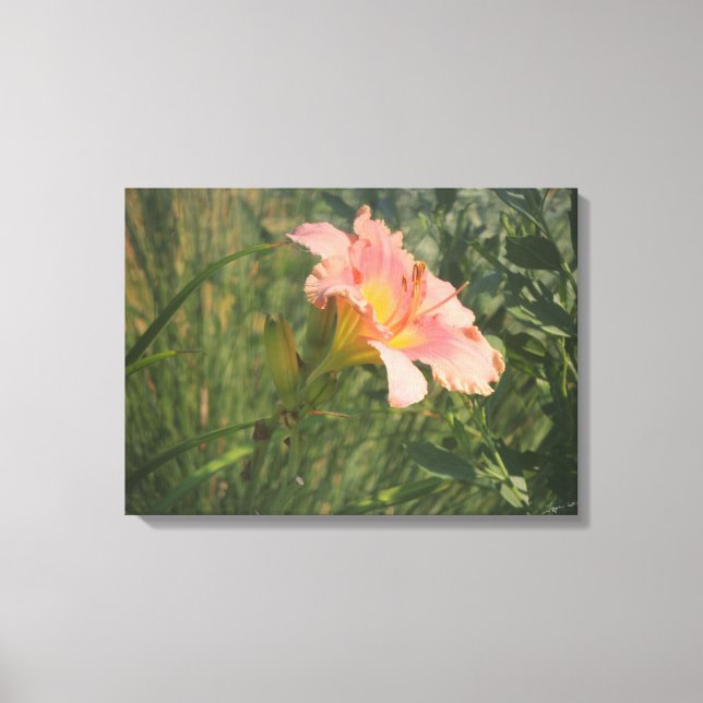 Diariamente na Canvas do Sol (Frente)