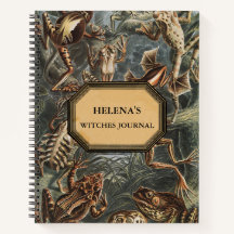 Diário de Bruxas com Problemas Duplos