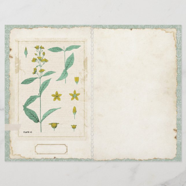 Diário de flor selvagem botânica, frente/verso (Frente)