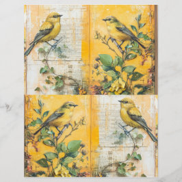 Diário de Lixo Amarelo Sunny