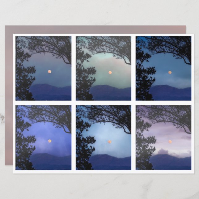 Diário de Lixo Ferie Skies Moon Trees Fantasy 13-1 (Frente/Verso)