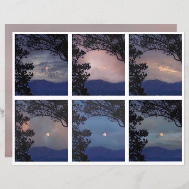 Diário de Lixo Ferie Skies Moon Trees Fantasy 19-2 (Frente/Verso)