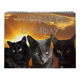 Diário é o calendário de Caturday