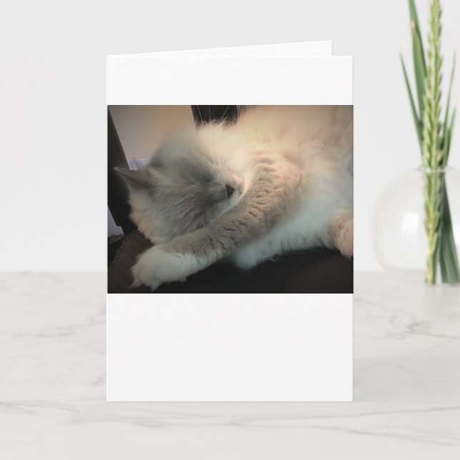 Dias Lentos, cartão (Frente)