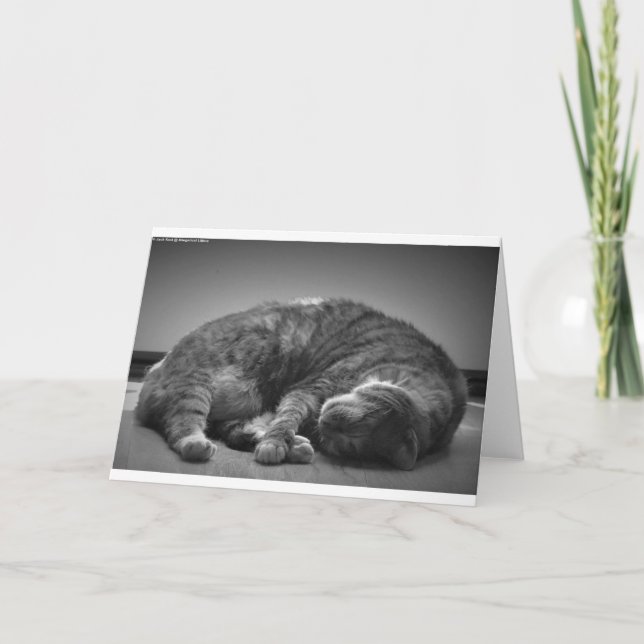 Dias Lentos, cartão (Frente)