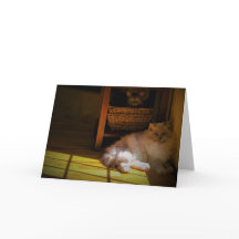 Dias Lentos, cartão