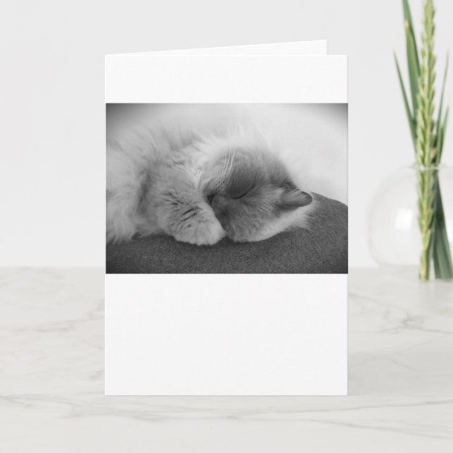 Dias Lentos, cartão (Frente)