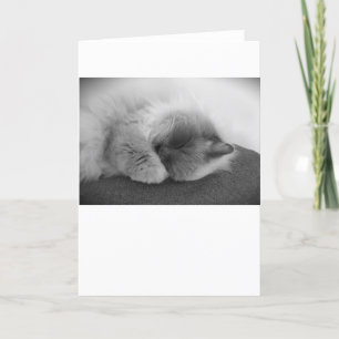 Dias Lentos, cartão