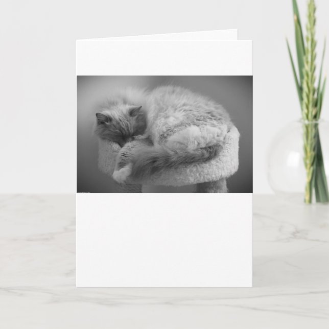 Dias Lentos, cartão (Frente)