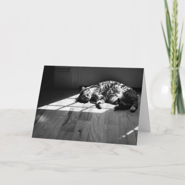 Dias Lentos, cartão (Frente)