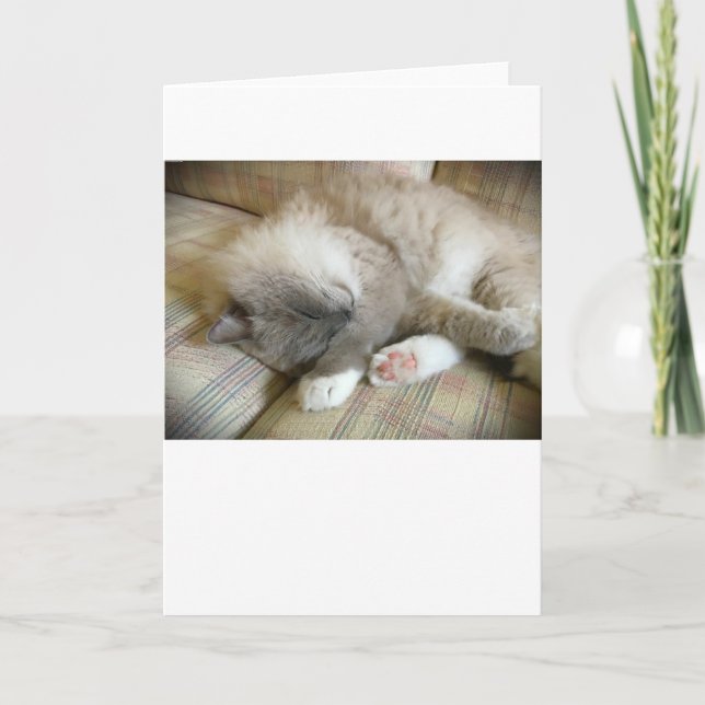 Dias Lentos, cartão (Frente)