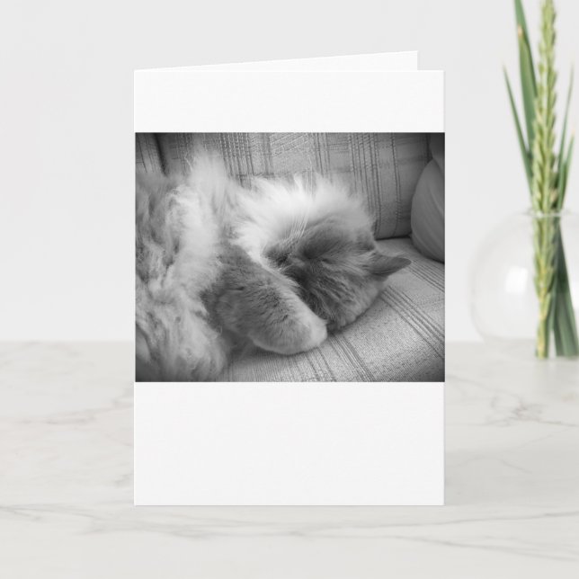 Dias Lentos, cartão (Frente)