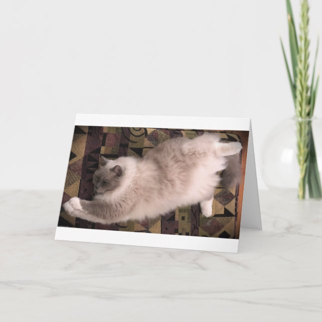 Dias Lentos, cartão (Frente)