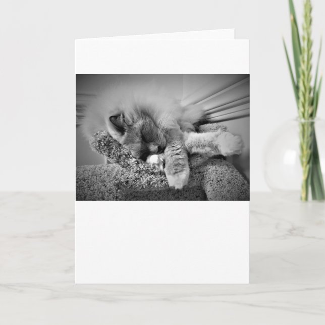 Dias Lentos, cartão (Frente)