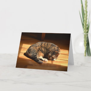 Dias Lentos, cartão