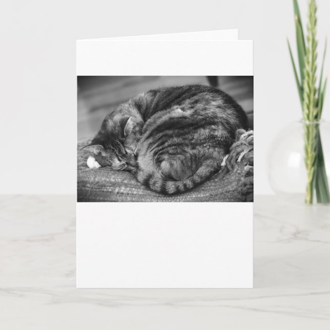 Dias Lentos, cartão (Frente)