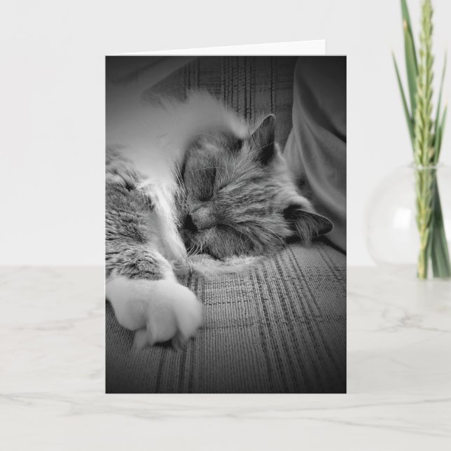 Dias Lentos, cartão (Frente)