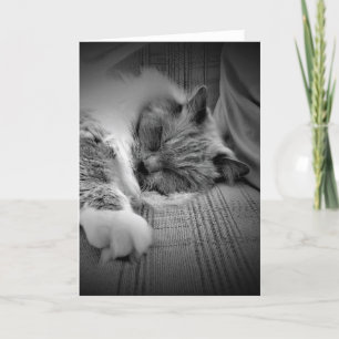 Dias Lentos, cartão