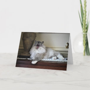 Dias Lentos, cartão