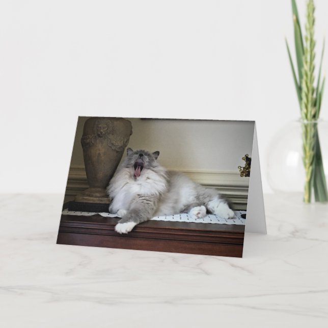 Dias Lentos, cartão (Frente)