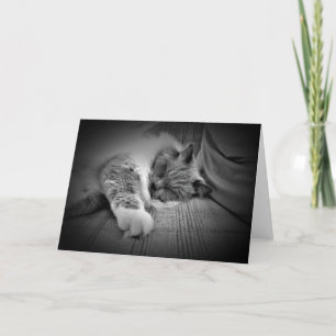 Dias Lentos, cartão