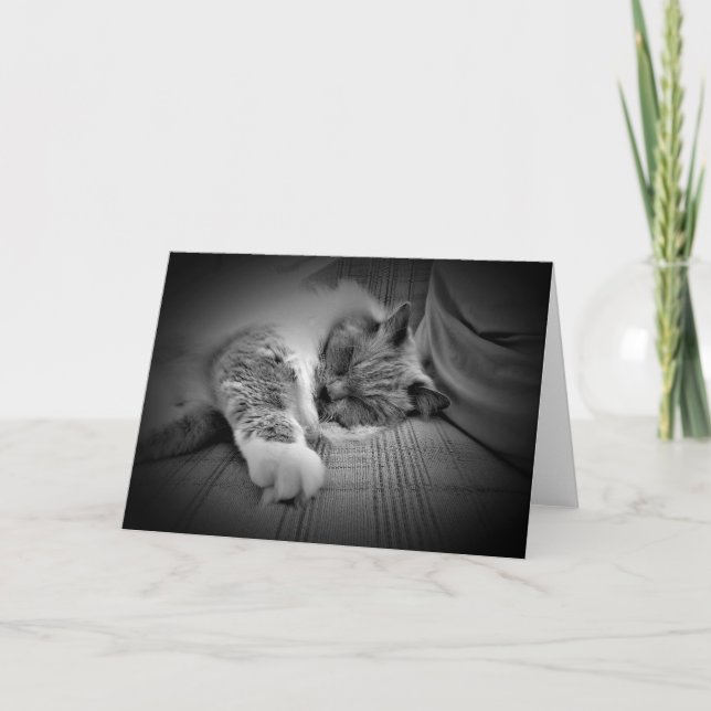 Dias Lentos, cartão (Frente)