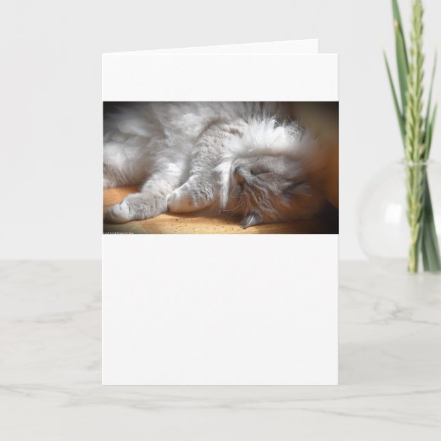 Dias Lentos, cartão (Frente)