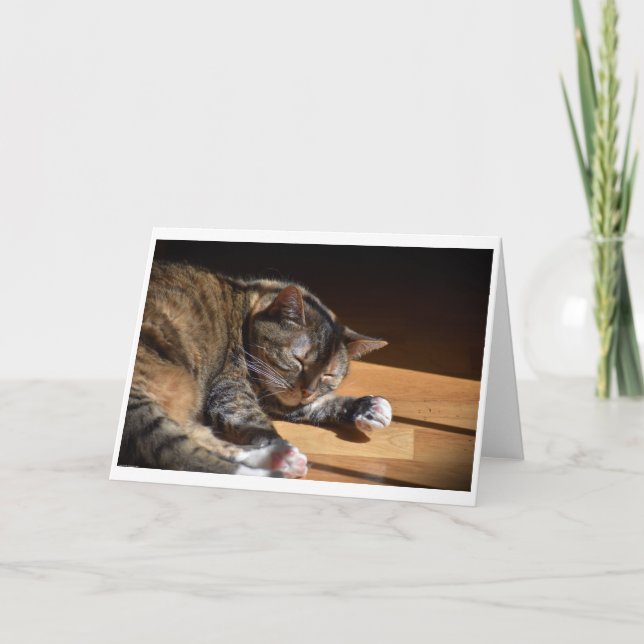 Dias Lentos, cartão (Frente)