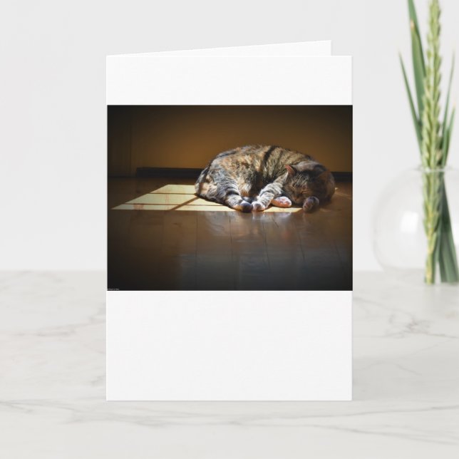 Dias Lentos, cartão (Frente)