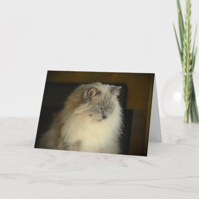 Dias Lentos, cartão (Frente)