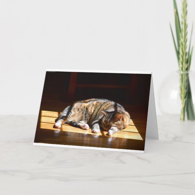 Dias Lentos, cartão (Frente)