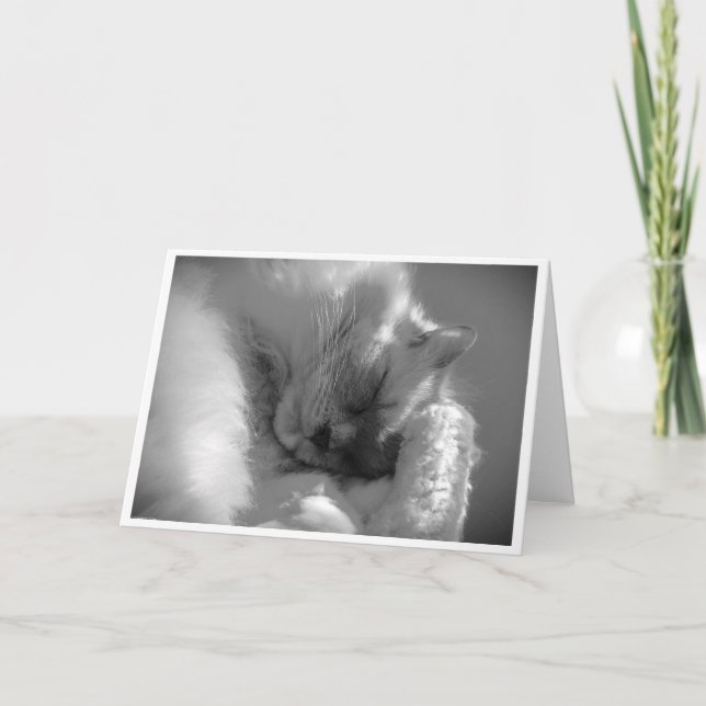 Dias Lentos, cartão (Frente)