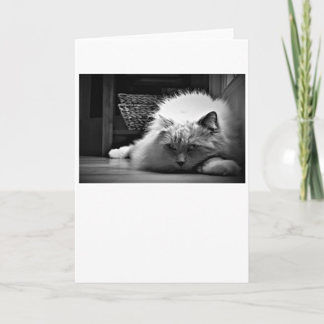 Dias Lentos, cartão (Frente)