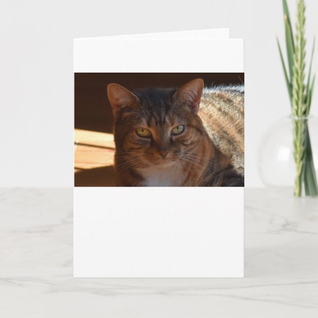 Dias Lentos, cartão (Frente)