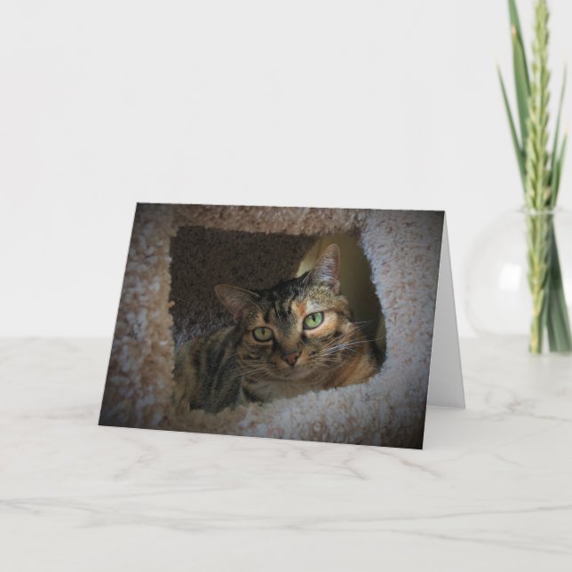 Dias Lentos, cartão (Frente)