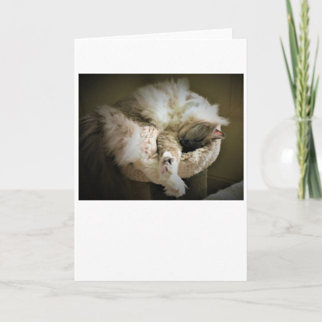 Dias Lentos, cartão (Frente)