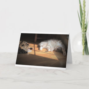 Dias Lentos, cartão