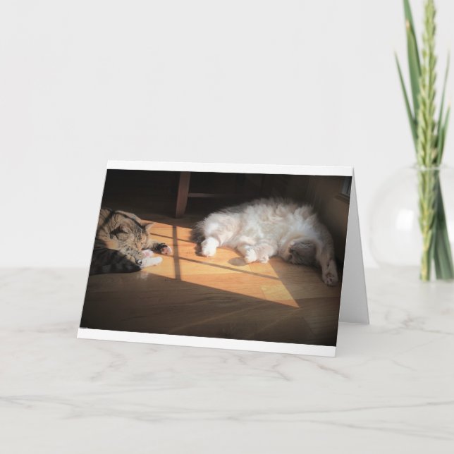 Dias Lentos, cartão (Frente)