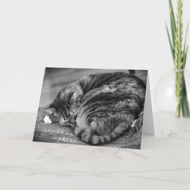 Dias Lentos, cartão (Frente)