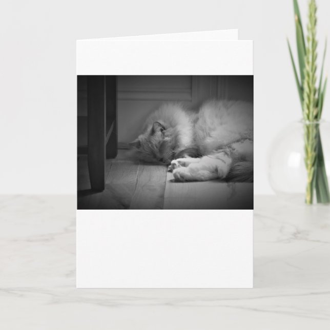 Dias Lentos, cartão (Frente)