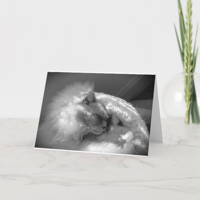 Dias Lentos, cartão (Frente)