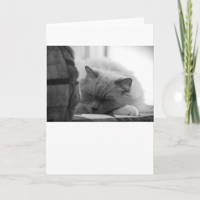 Dias Lentos, cartão (Frente)