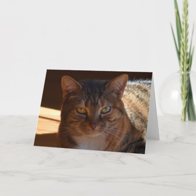 Dias Lentos, cartão (Frente)