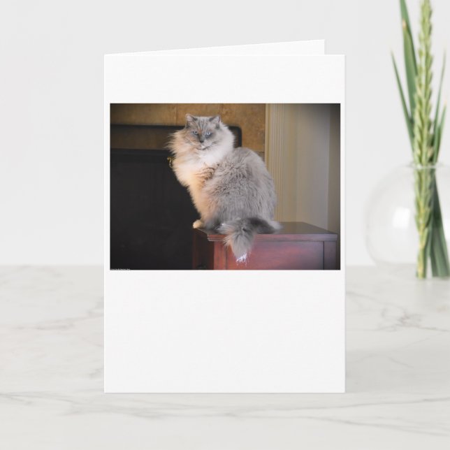 Dias Lentos, cartão (Frente)