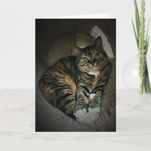 Dias Lentos, cartão (Frente)