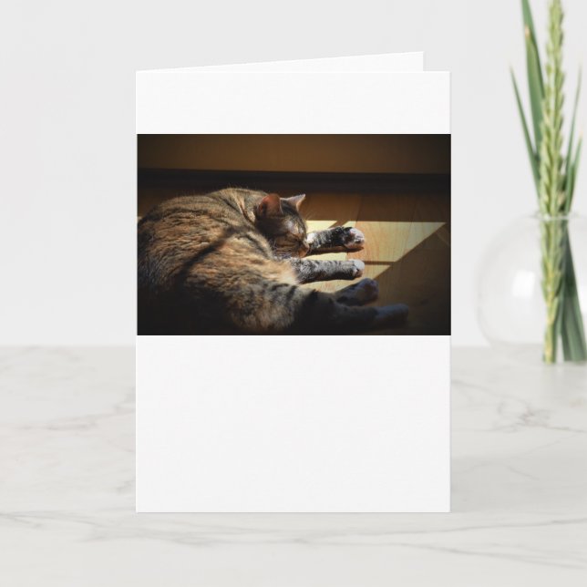 Dias Lentos, cartão (Frente)