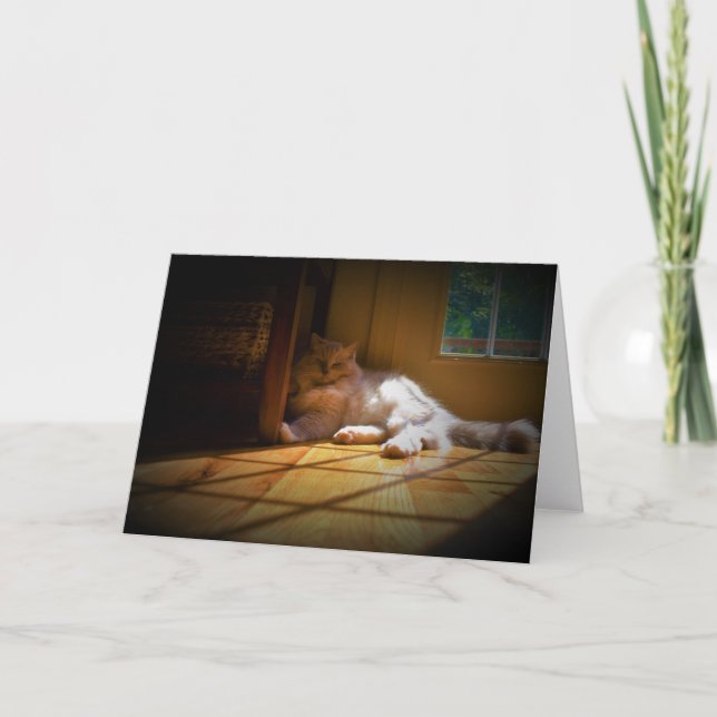 Dias Lentos, cartão (Frente)