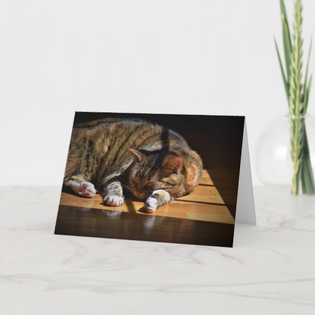 Dias Lentos, cartão (Frente)