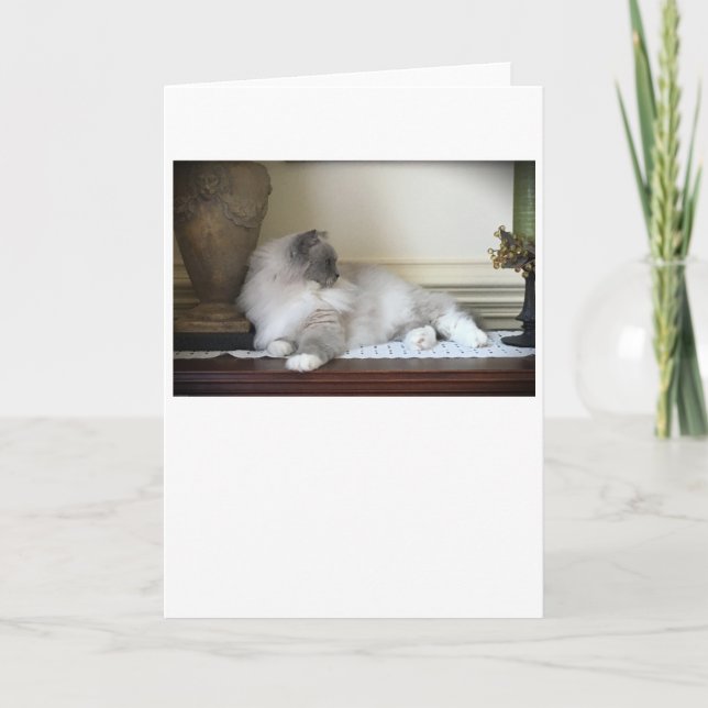 Dias Lentos, cartão (Frente)