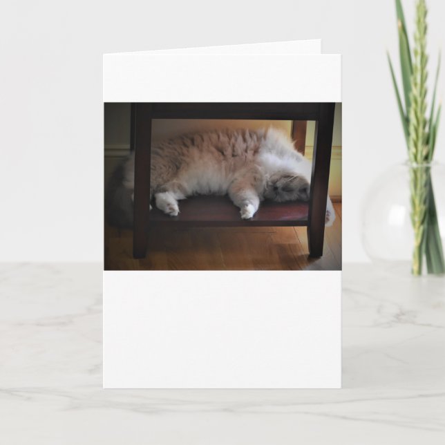 Dias Lentos, cartão (Frente)